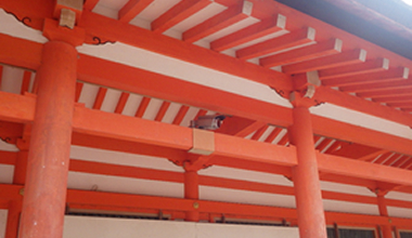 現場アルバム11